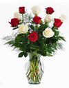 Six Red and Six White Roses